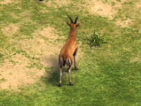 ガゼル.jpg ガゼル.jpg