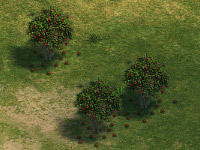 ベリーの茂み.jpg ベリーの茂み.jpg